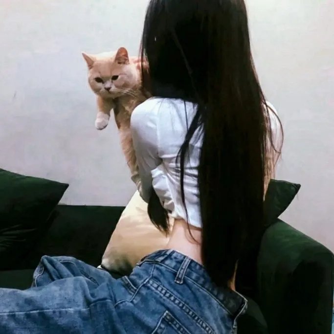 荒江女侠
